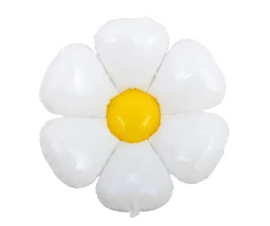 BLOEMBALLON MAAT M | DAISY