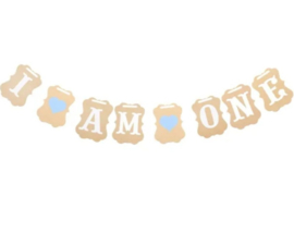 BANNER, BLAUW | I AM ONE