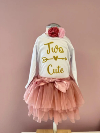 VERJAARDAGSET, VERSCHILLENDE KLEUREN 2 JAAR  | TWO CUTE