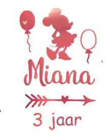 RAAMSTICKER ALLE KLEUREN  (40 x 75 cm) | MUIS