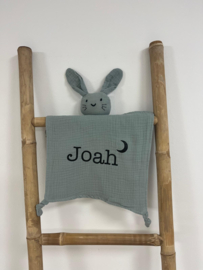 KNUFFEL HAAS ALLE KLEUREN MET NAAM  | JONAH