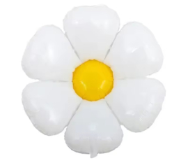BLOEMBALLON MAAT L | DAISY