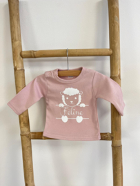 GEBOORTE SHIRT | SCHAAP