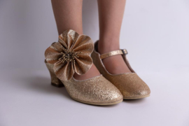 PRINSES SCHOENEN GLITTER 5-delig | GOUD GLITTER