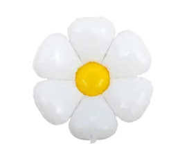 BLOEMBALLON MAAT S | DAISY