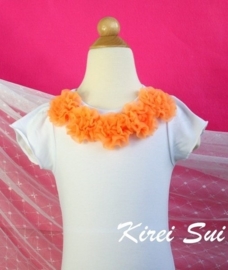 Shirt 5 Oranje Rozetten