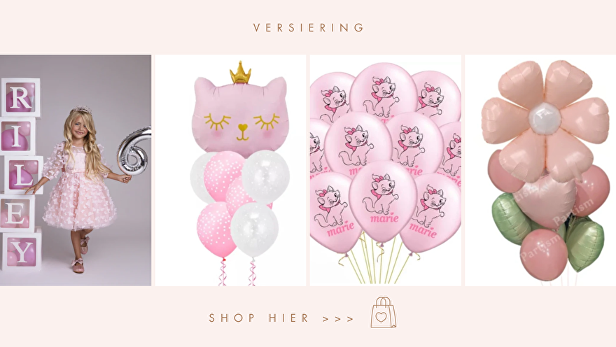 KINDER-versiering-frozen-daisy-barbie-marie-louise-hello-kitty-assepoester-zeemeermin-dora-belle-peppa