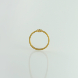 Fruit Bijoux ring smal goudkleurig