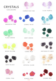 Fruit Bijoux oorbellen