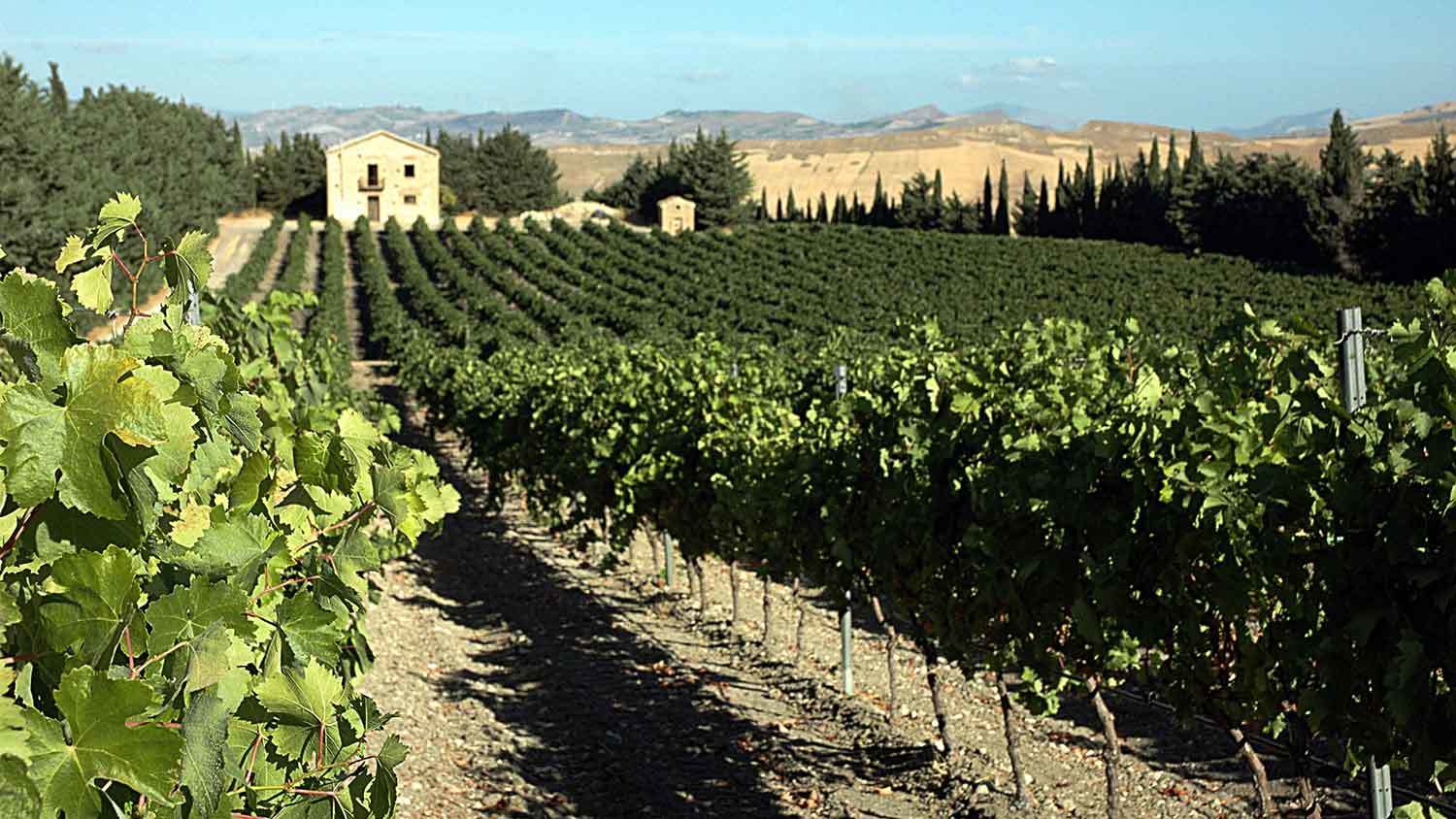 Sicilia 2 Sicilia 2