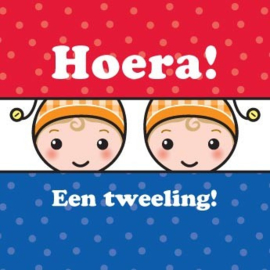 Wenskaart Tweeling NL