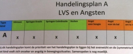 Handelingsplannen en remedieprogramma vanuit het LVS Bewegen en Spelen