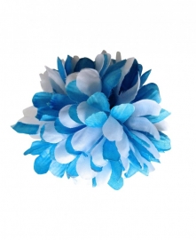 Haarbloem blauw wit