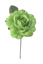 Spaanse flamenco roos, lime groen