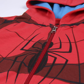 Hoodie Spiderman Marvel