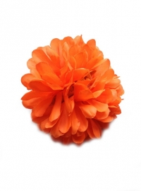Haarbloem oranje
