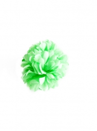 Spaanse haarbloem lime-groen
