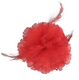 Spaanse haarbloem rood met veren