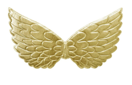 Prinsessen vleugels goud NIEUW