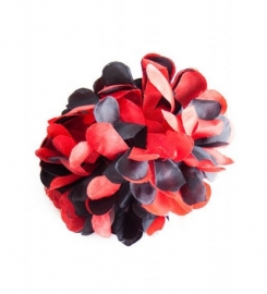 Spaanse haarbloem zwart rood