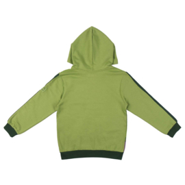 Hoodie Hulk Marvel The Avengers