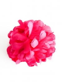 Spaanse haar bloem (fel) roze XL