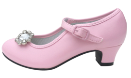 Spaanse schoenen Clip glitter steen