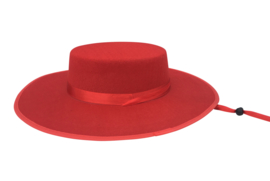 Spaanse sombrero rood volwassenen of kinderen