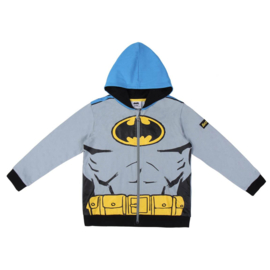 Hoodie Batman