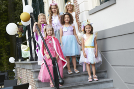 Prinsessenjurk roze vlinders Luxe + GRATIS kroon