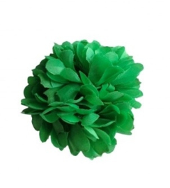 Spaanse haarbloem Groen