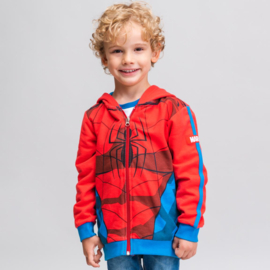 Hoodie Spiderman Marvel