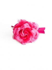 Spaanse (haar) roos, roze met kant