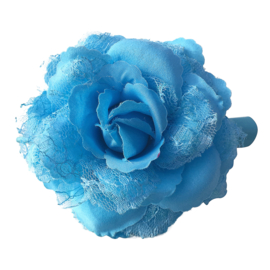 Spaanse (haar) roos, blauw met kant