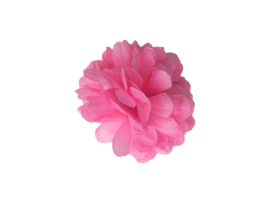 Haarbloem roze klein model