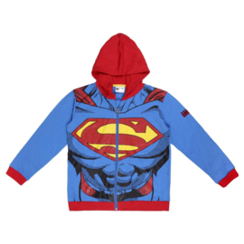 Hoodie Superman