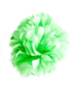 Spaanse haarbloem lime-groen