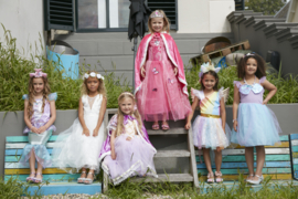 Prinsessenkleedje roze vlinders korte mouw Luxe + GRATIS kroon