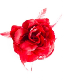 Spaanse haar roos met veren rood