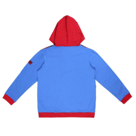 Hoodie Superman