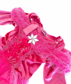 Prinsessenkleedje roze vlinders Luxe + GRATIS kroon