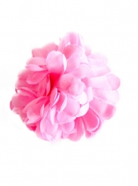 Spaanse haar bloem (licht) roze XL