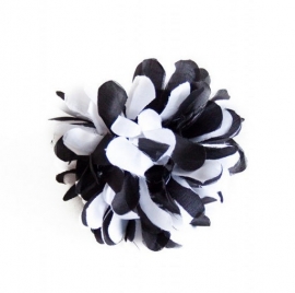 Fleur noir blanc