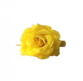 Spaanse (haar) roos, geel met kant