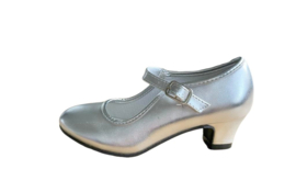 Spaanse schoenen zilver