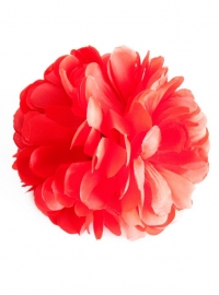 Spaanse haar bloem rood XL