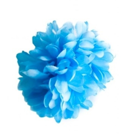 Spaanse haarbloem blauw