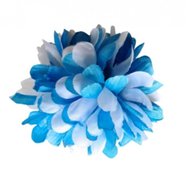 Haarbloem blauw wit