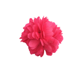 Haarbloem fel roze klein model