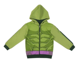 Hoodie Hulk Marvel The Avengers